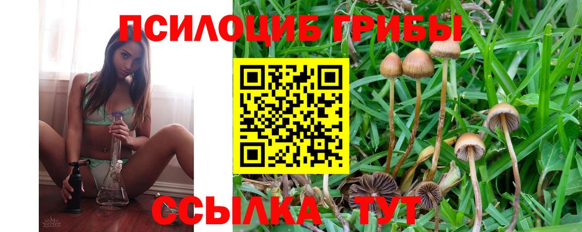 Галлюциногенные грибы мицелий  Галлюциногенные грибы прущие грибы  Орёл  Вход с VPN 
