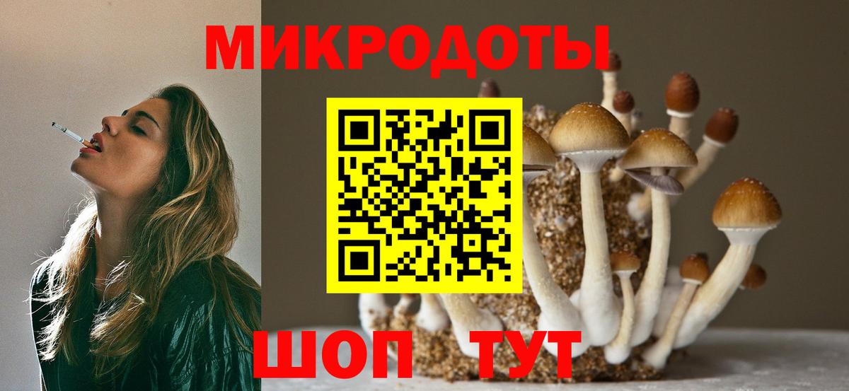 Псилоцибиновые грибы GOLDEN TEACHER Орёл